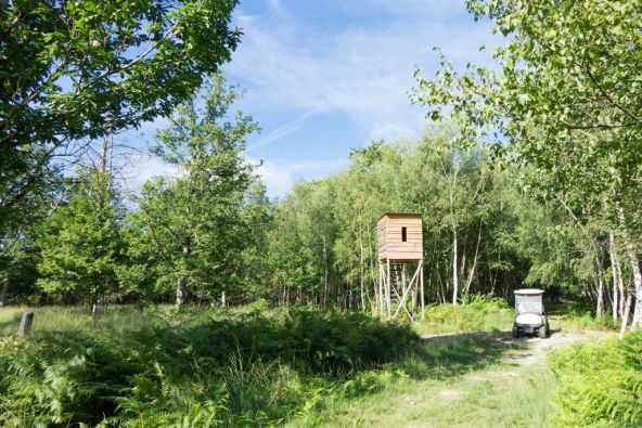 Sale Luxury property of hunting Isdes 13 Rooms 710 m²