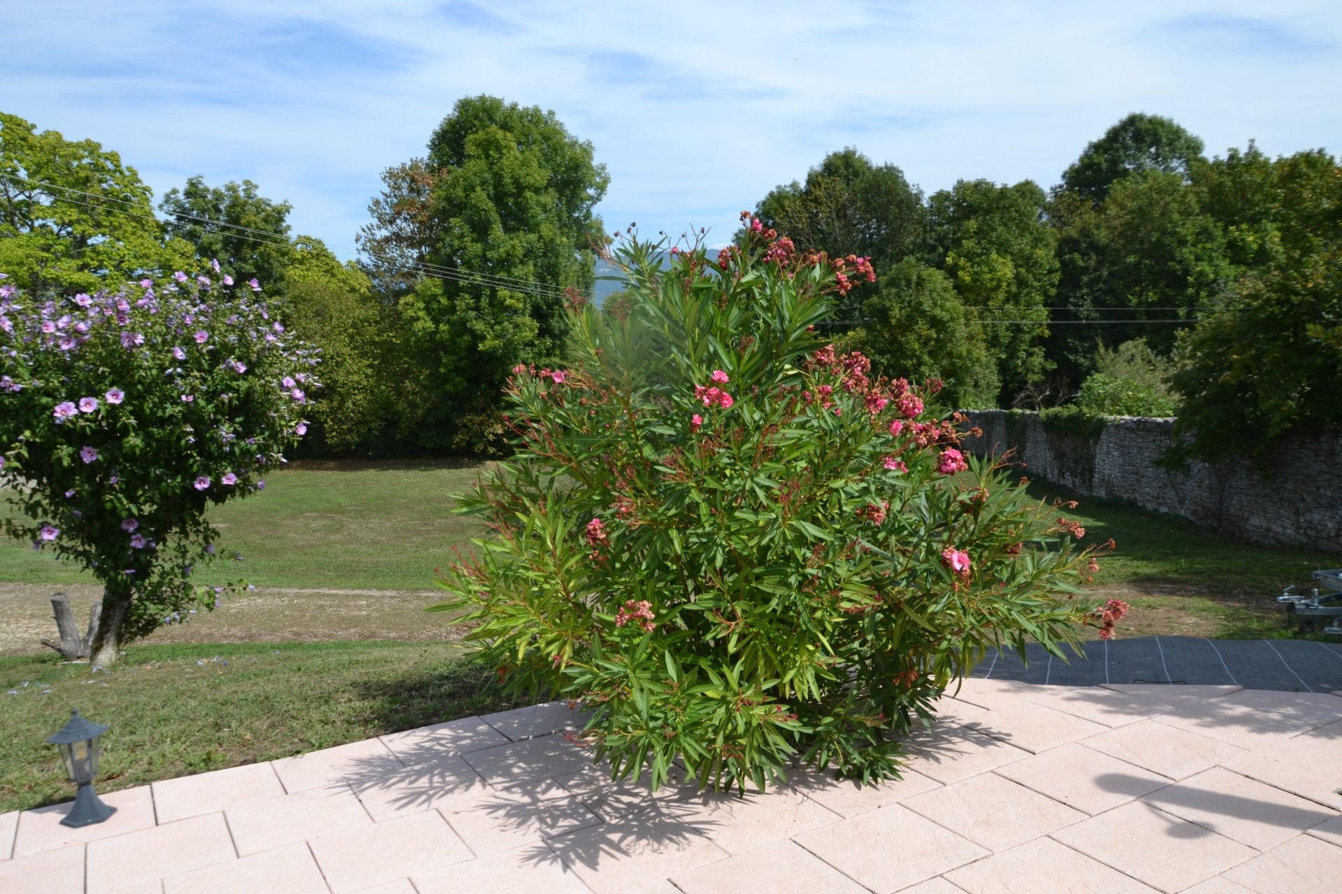 luxury house 7 Rooms for sale on CEYZERIEU (01350)