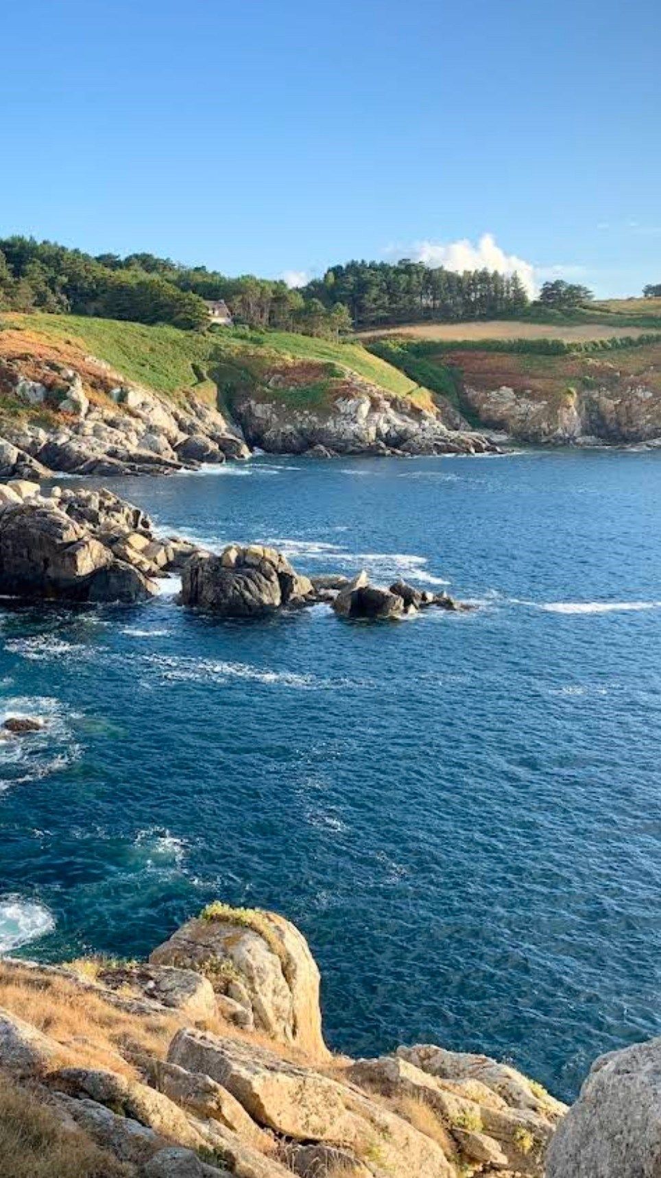 luxury house 8 Rooms for sale on POULLAN SUR MER (29100)