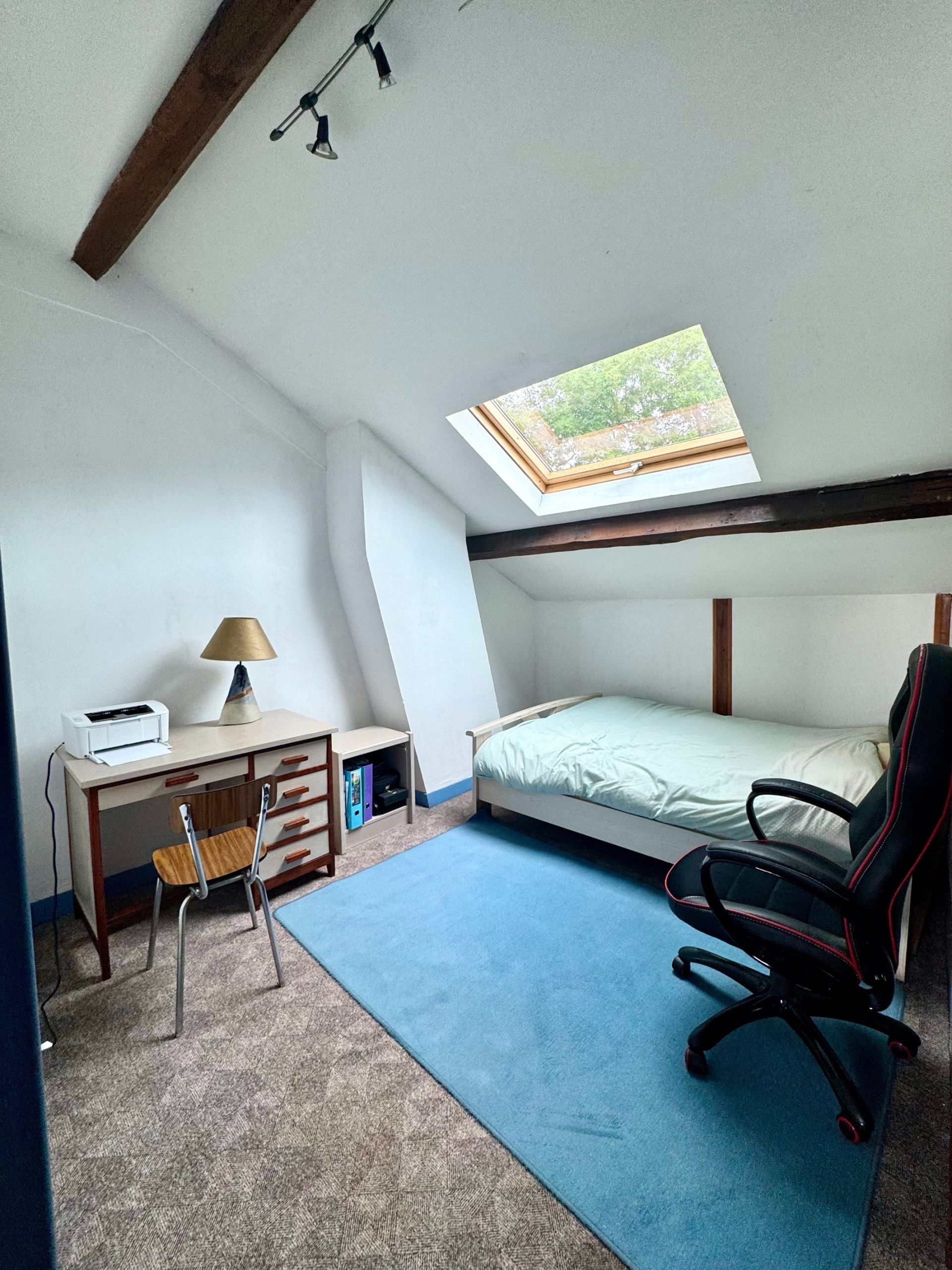 maison de luxe 7 Pièces en vente sur ORLEANS (45000)