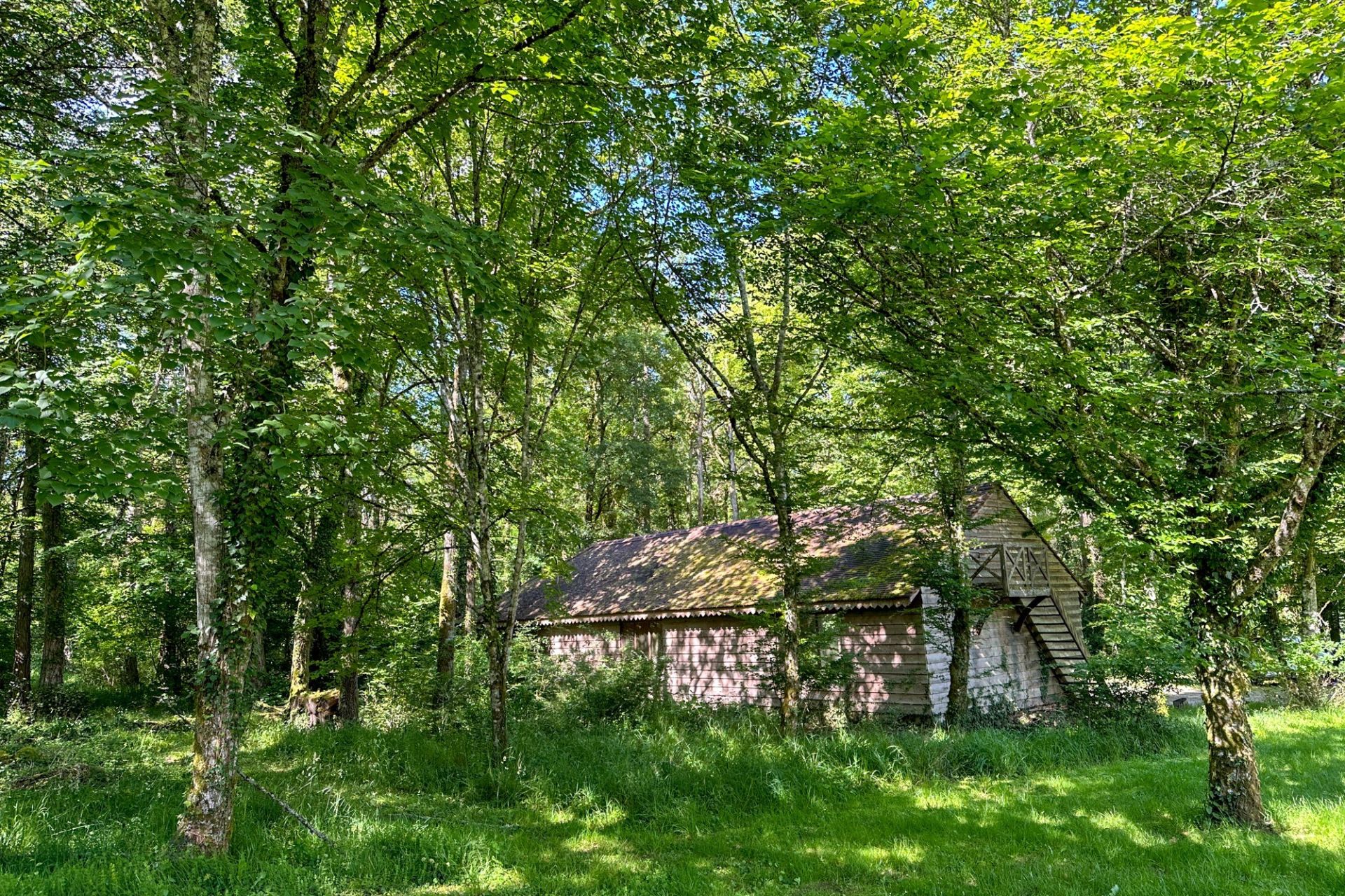 manoir 20 Pièces en vente sur NOYERS (89310)