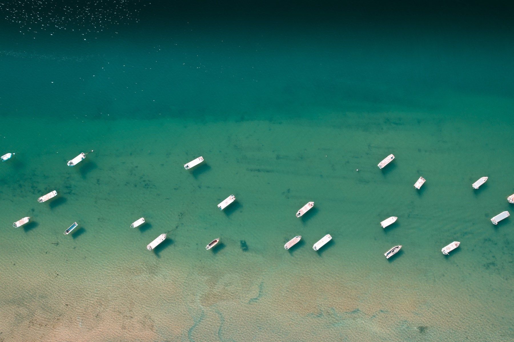 maison de luxe 8 Pièces en vente sur LES PORTES EN RE (17880)