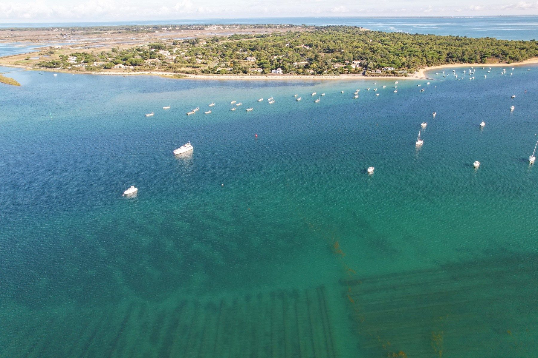 maison de luxe 8 Pièces en vente sur LES PORTES EN RE (17880)