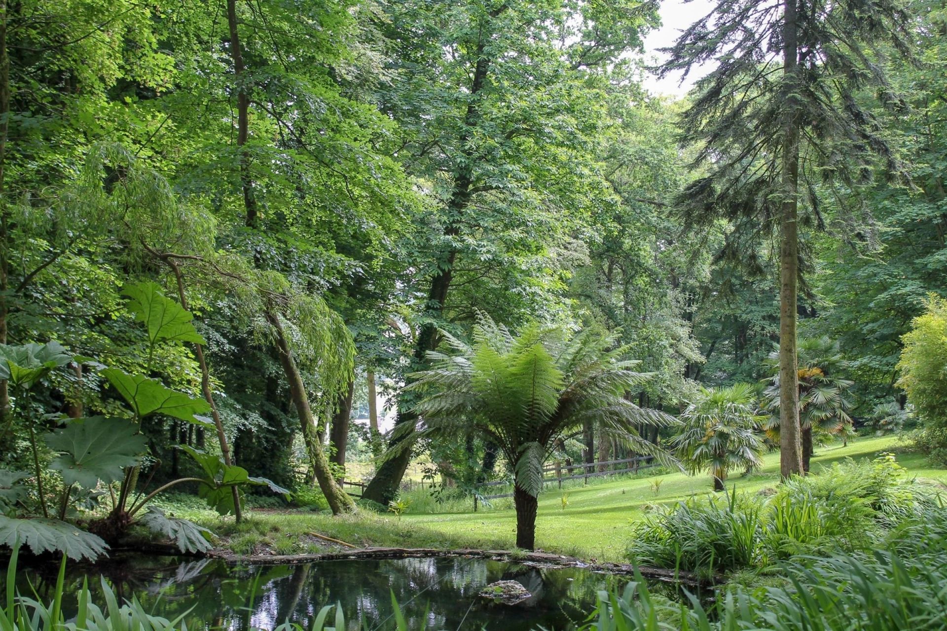 manor house 12 Rooms for sale on LANDERNEAU (29800)