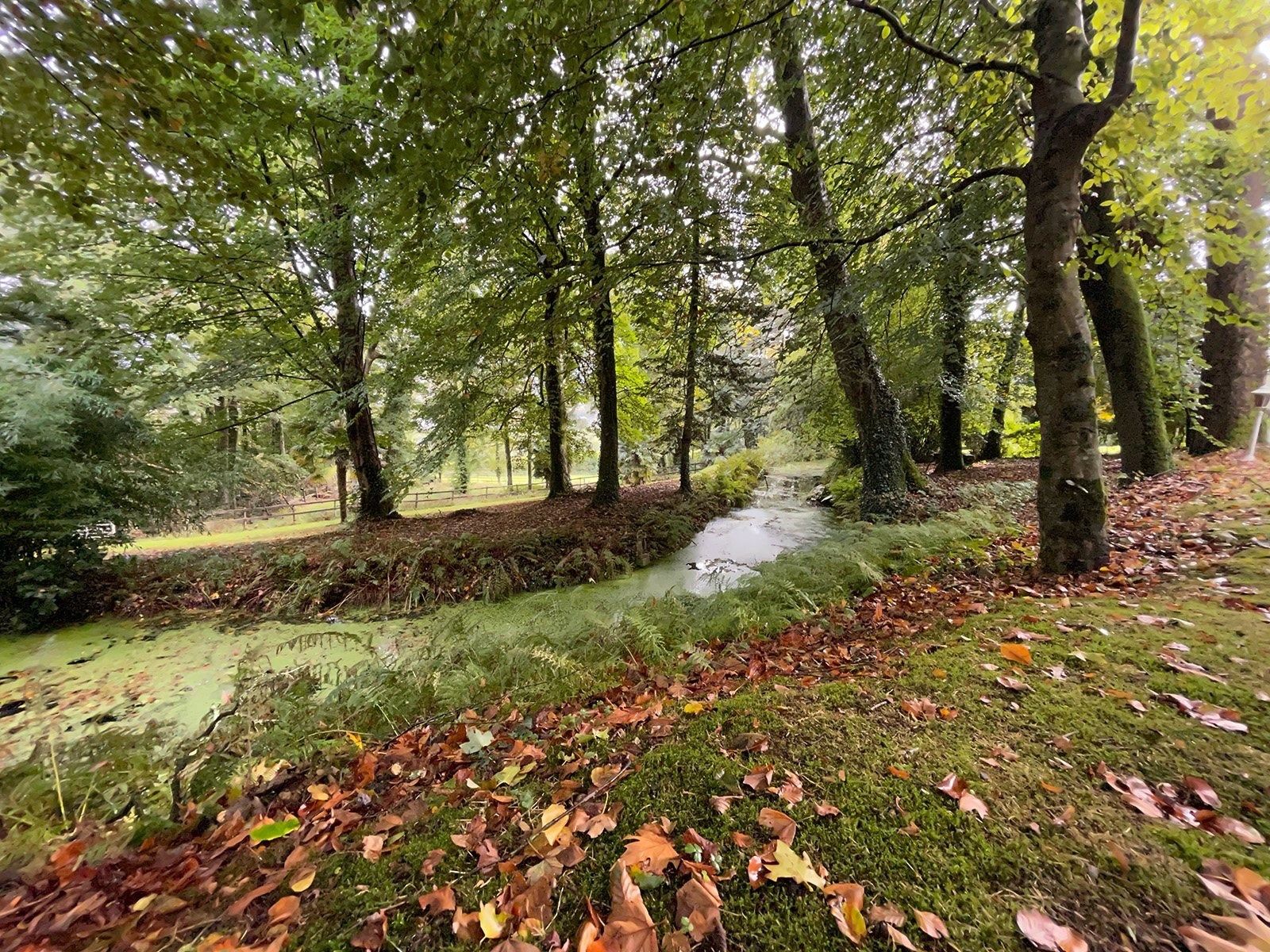 manor house 12 Rooms for sale on LANDERNEAU (29800)