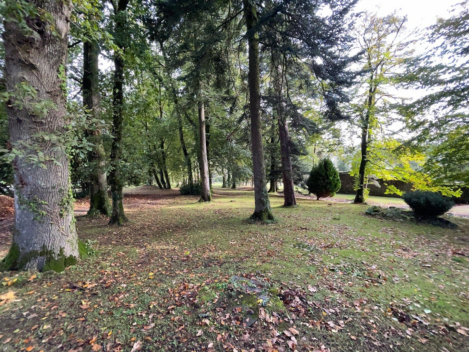 manor house 12 Rooms for sale on LANDERNEAU (29800)