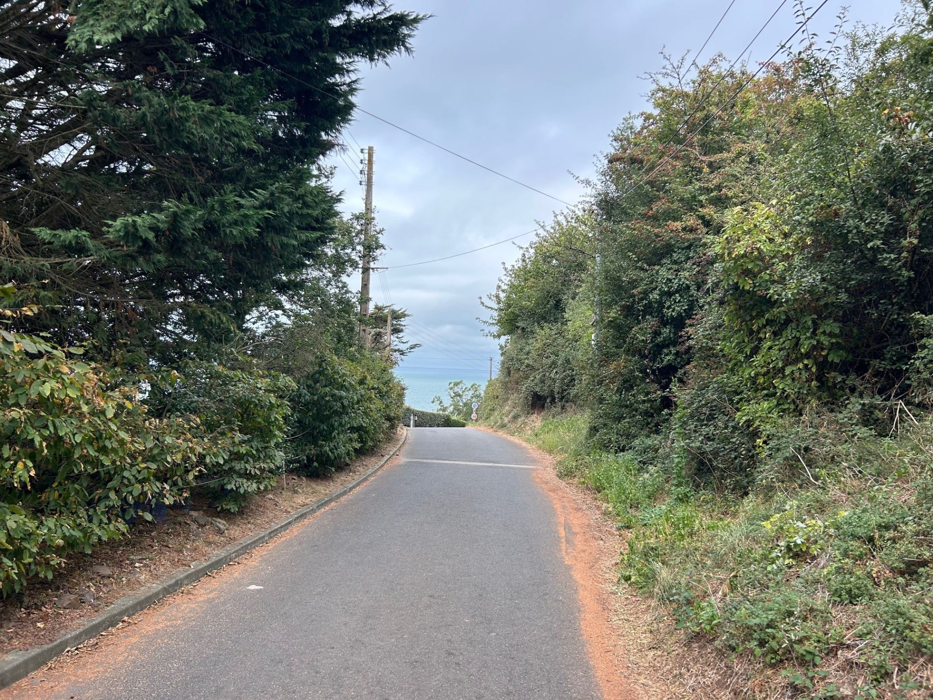 luxury house 4 Rooms for sale on CHAMPEAUX (50530)