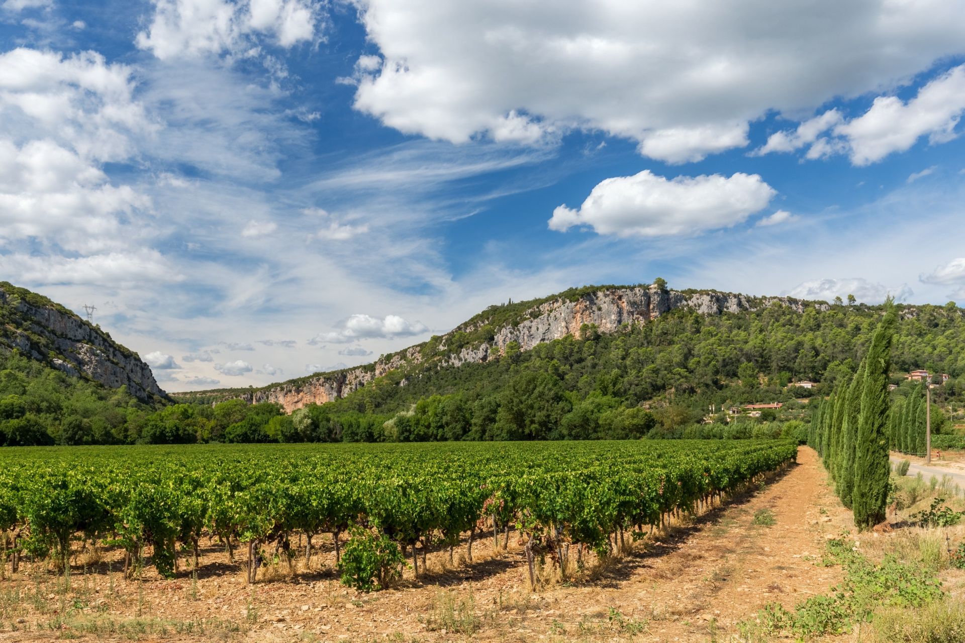 wine estate 10 Rooms for sale on CABASSE (83340)
