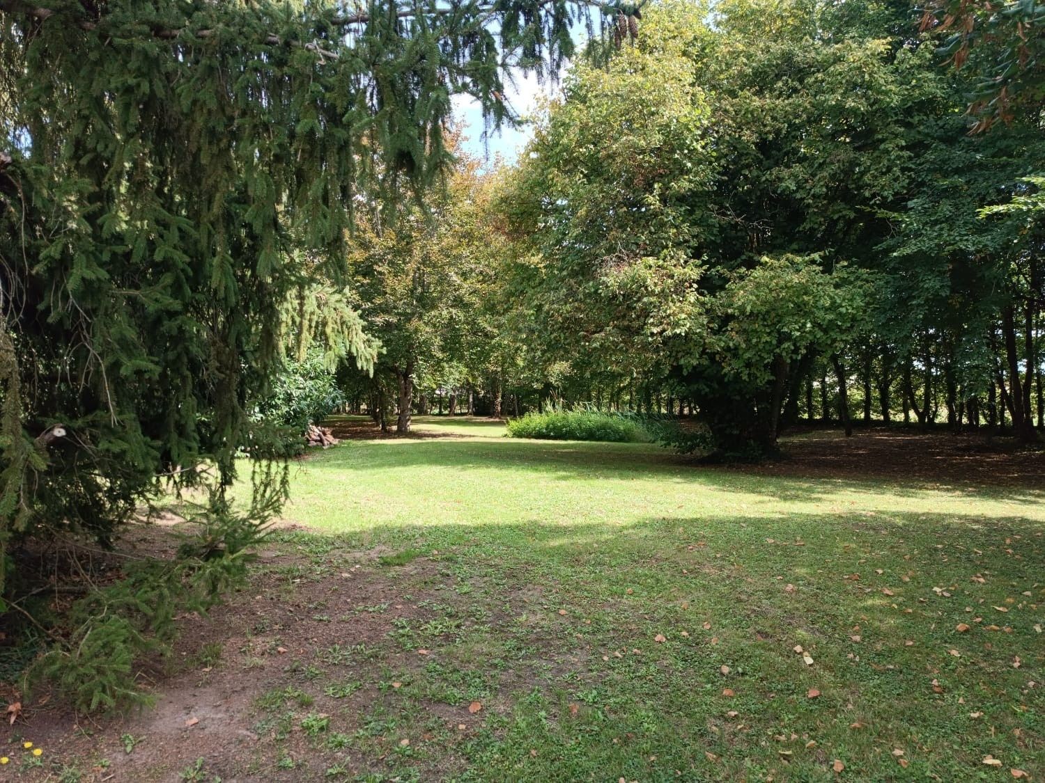 maison de luxe 9 Pièces en vente sur CORMERAY (41120)