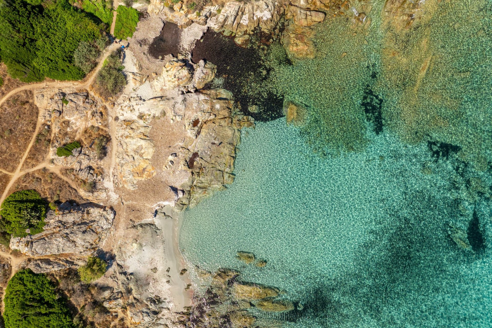 luxury villa 8 Rooms for sale on MONTICELLO (20220)