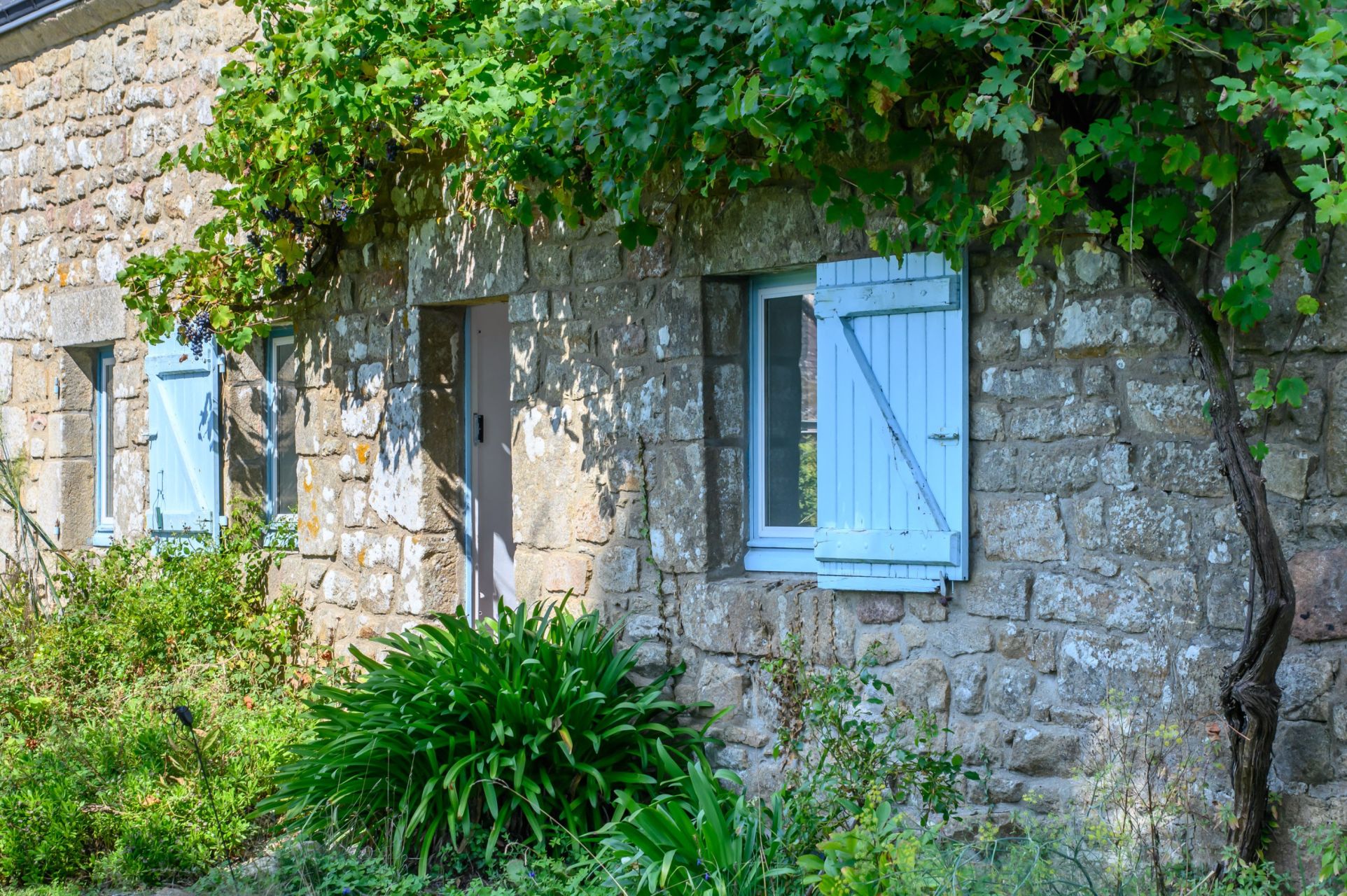 luxury property 7 Rooms for sale on ST PHILIBERT (56470)