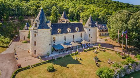 Sale Castle Montignac 50 Rooms 3370 m²