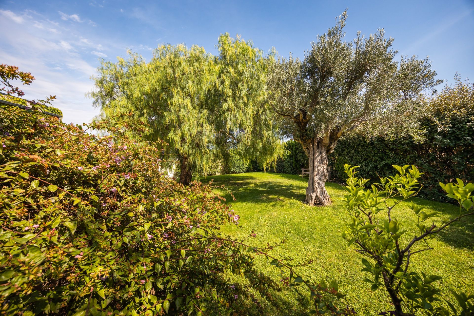 luxury house 7 Rooms for sale on CANOHES (66680)