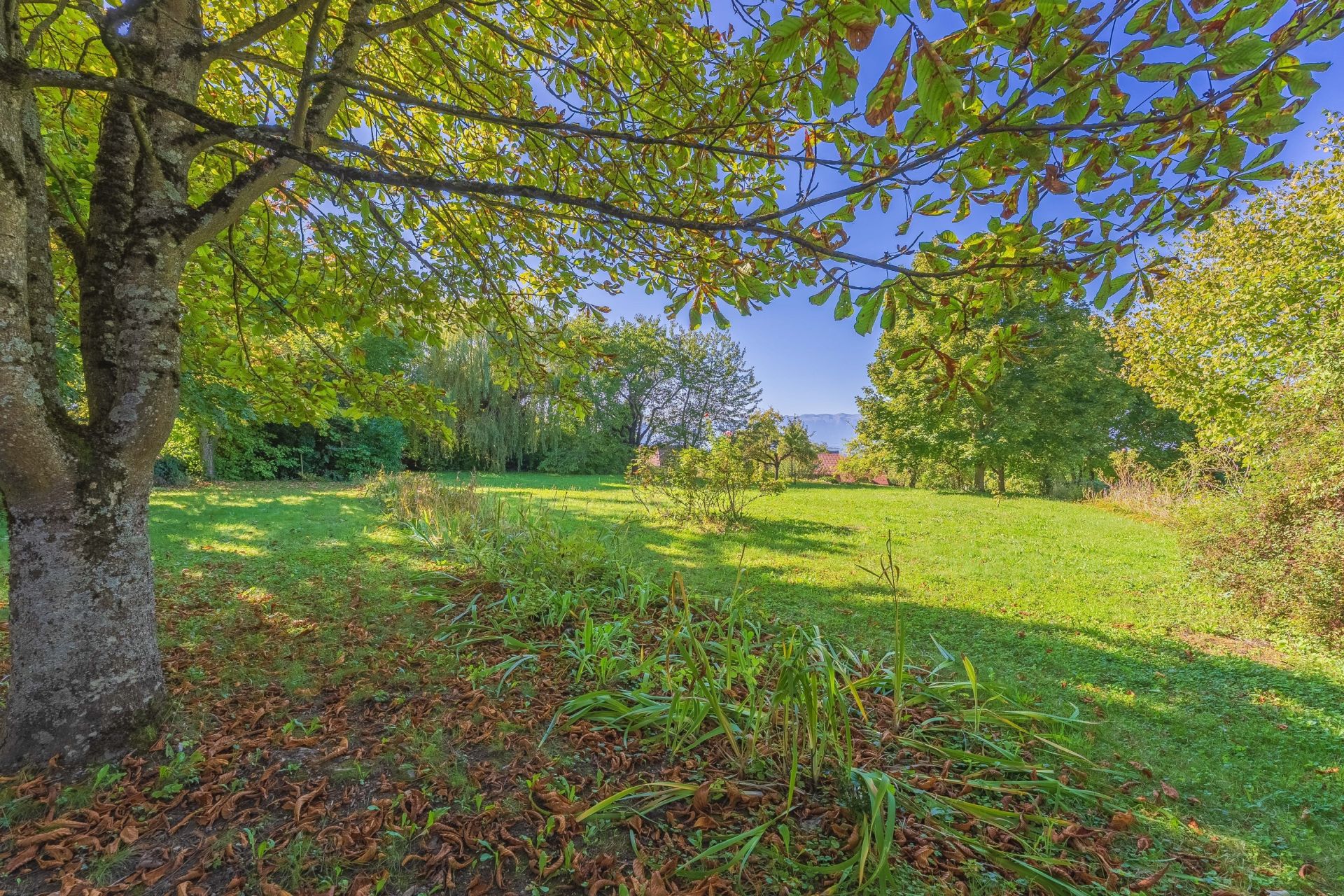 maison de luxe 6 Pièces en vente sur ARCHAMPS (74160)