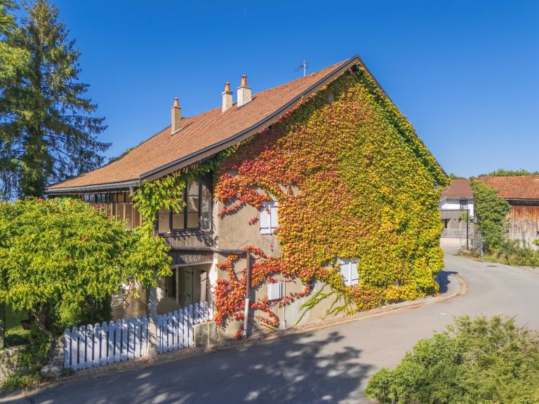 maison de luxe 6 Pièces en vente sur ARCHAMPS (74160)