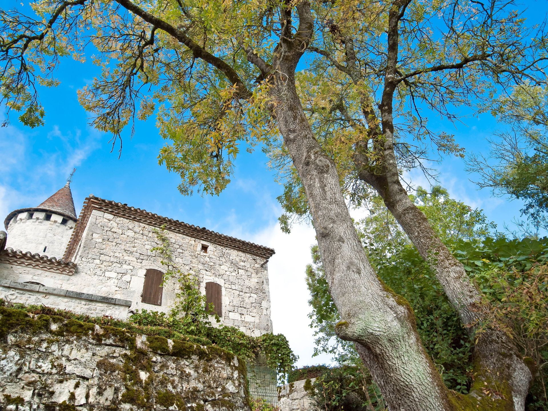 château 12 Pièces en vente sur ST CAPRAIS DE LERM (47270)