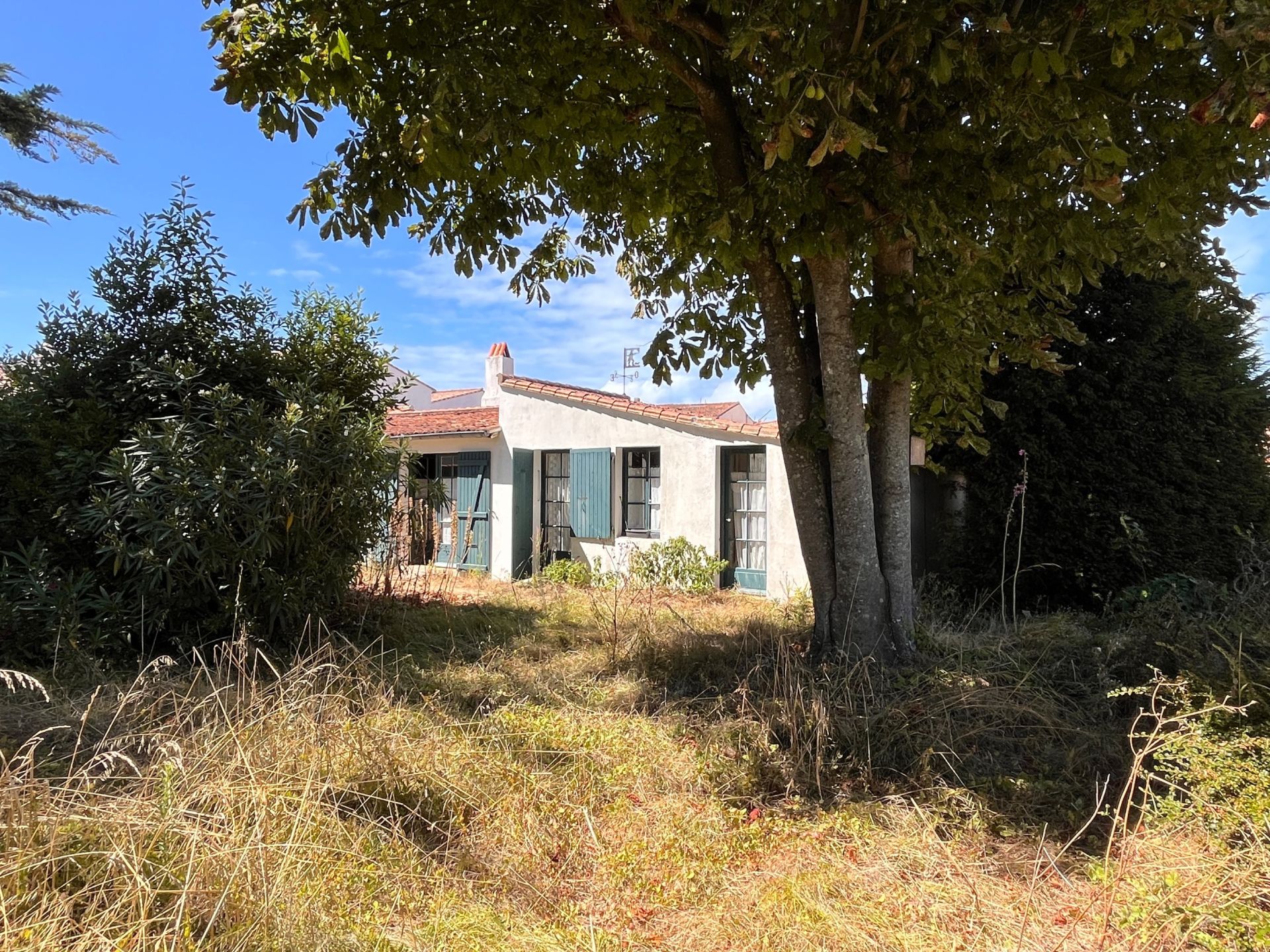 luxury house 6 Rooms for sale on LE BOIS PLAGE EN RE (17580)