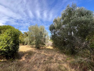 Sale Luxury house Le Bois-Plage-en-Ré 6 Rooms 138 m²