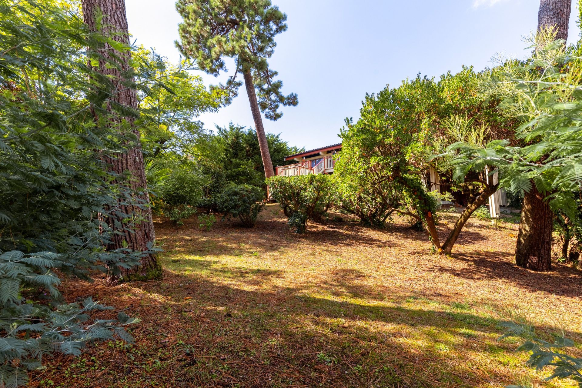 luxury house 8 Rooms for sale on CAP FERRET (33970)