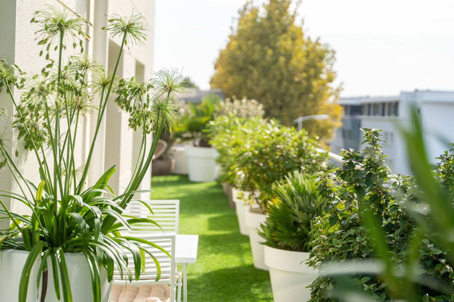 luxury apartment 3 Rooms for sale on LA ROCHELLE (17000)
