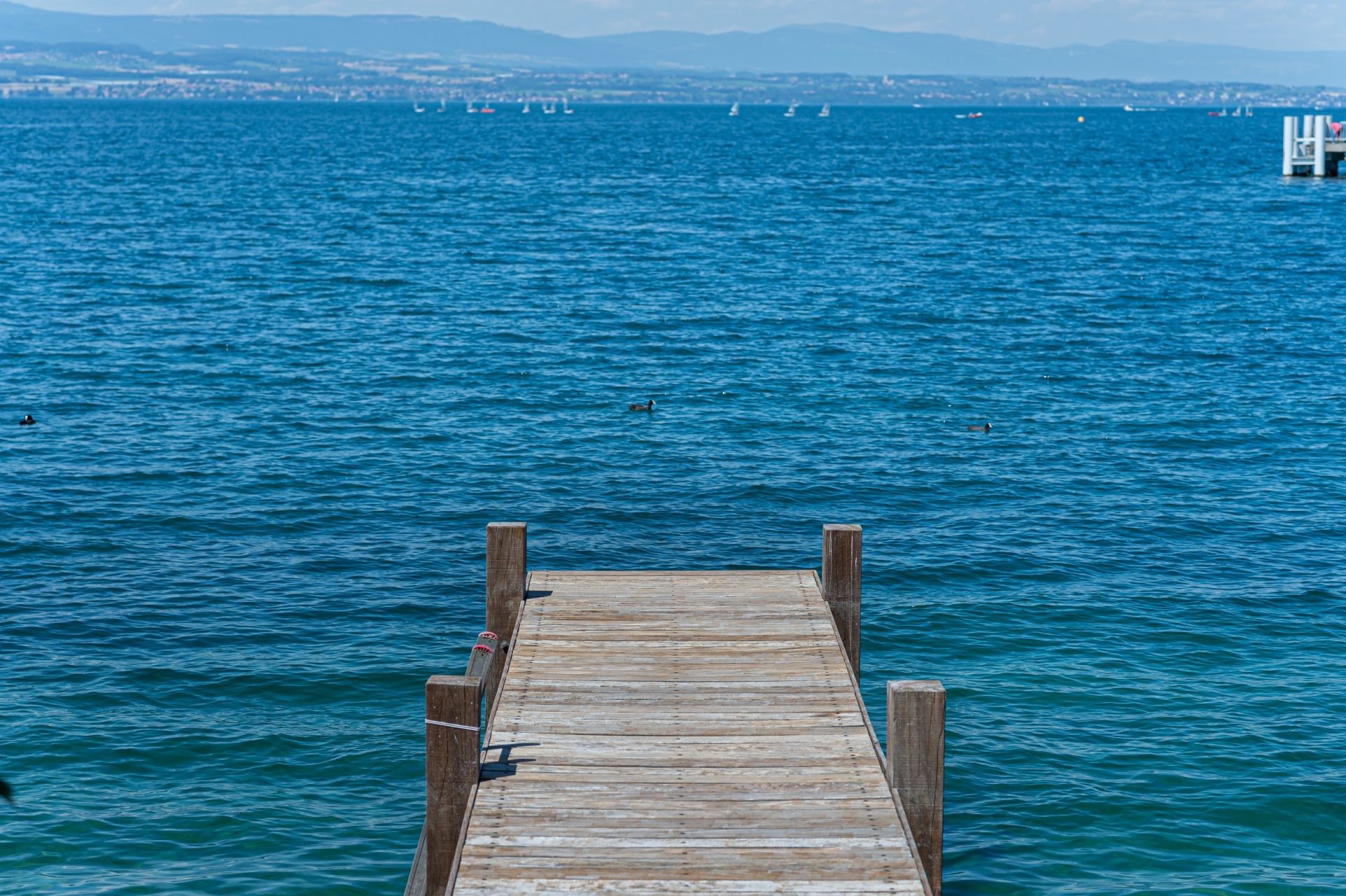 luxury house 7 Rooms for sale on THONON LES BAINS (74200)