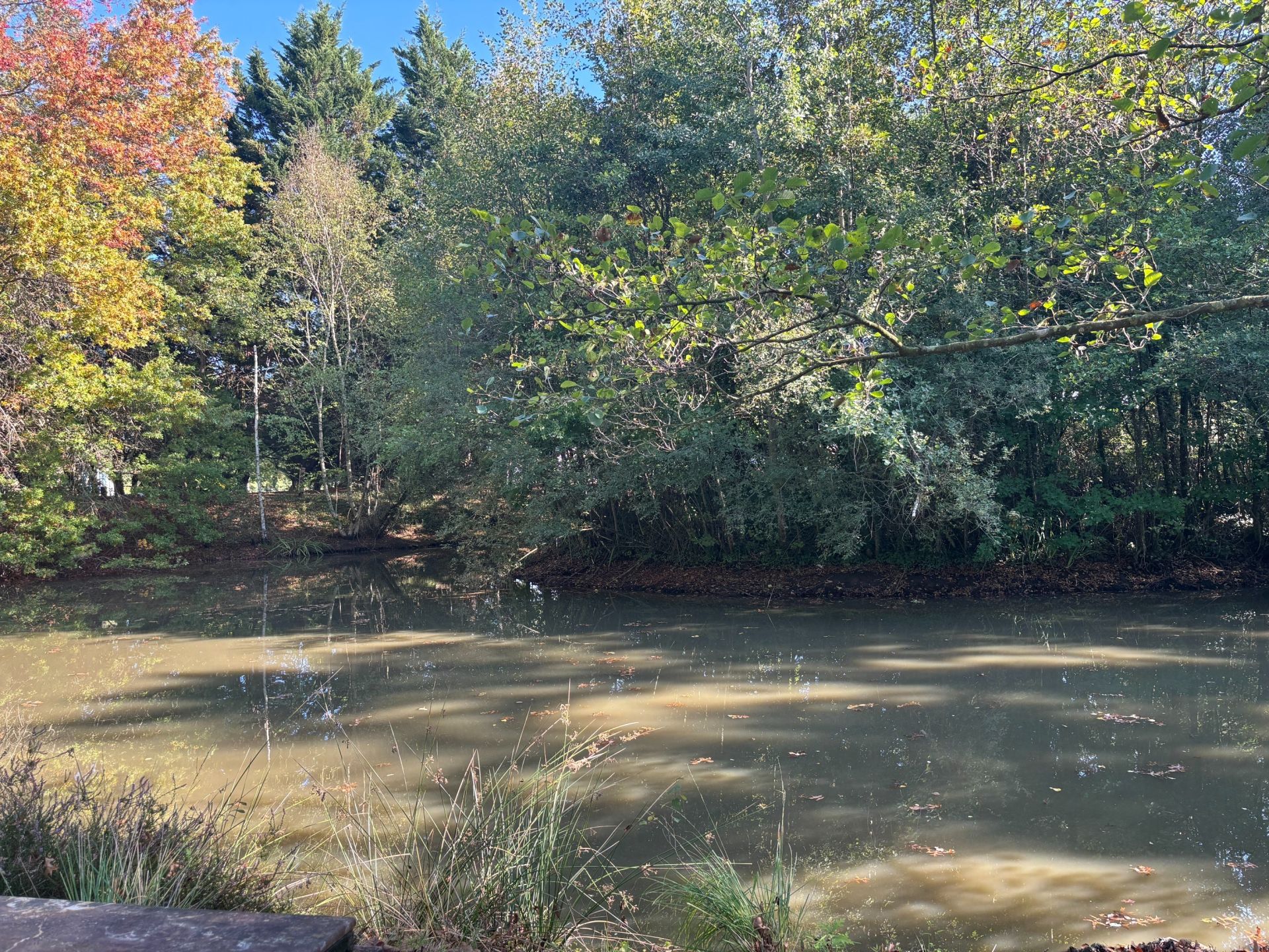 luxury house 9 Rooms for sale on ST VIATRE (41210)