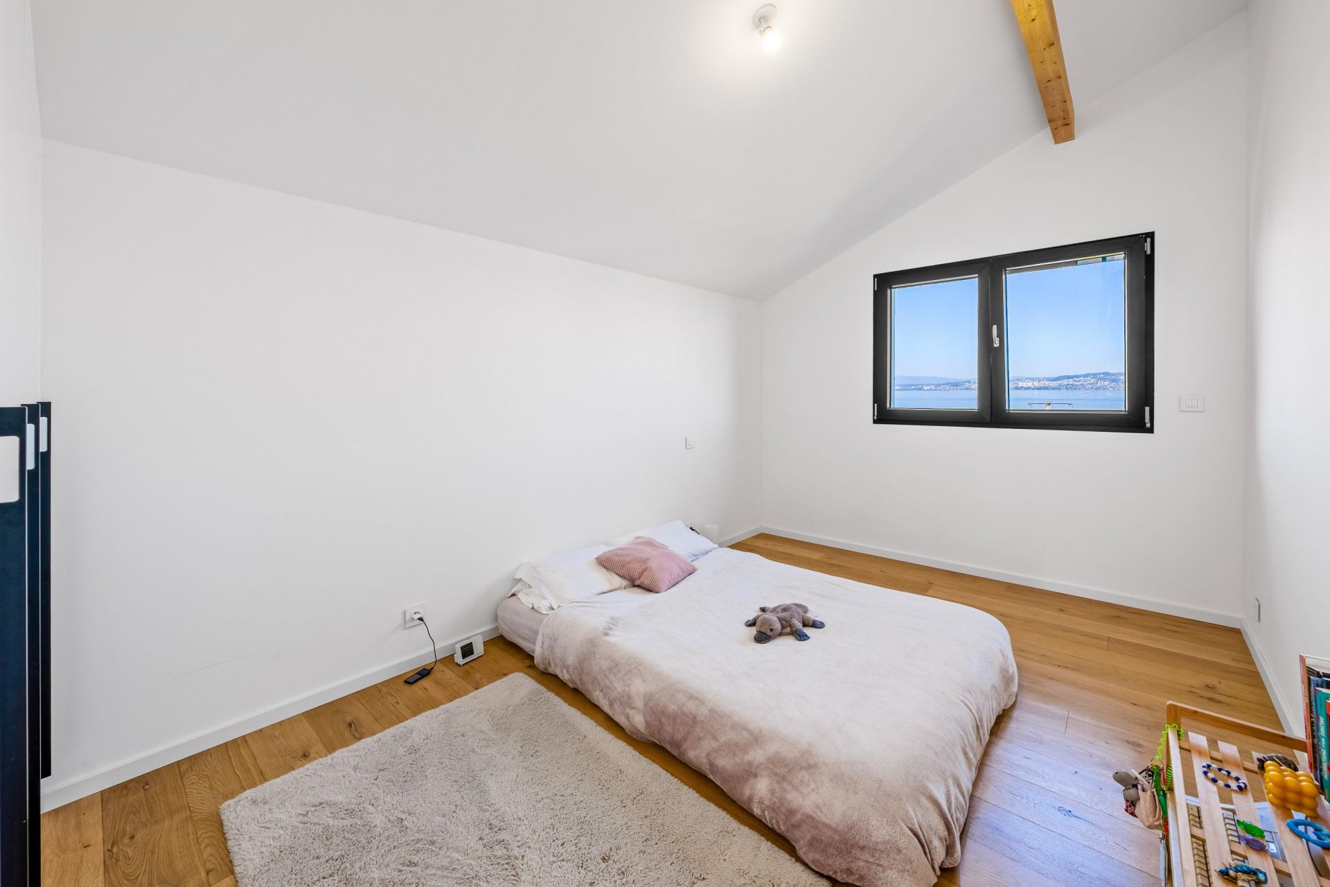 luxury house 6 Rooms for sale on LUGRIN (74500)