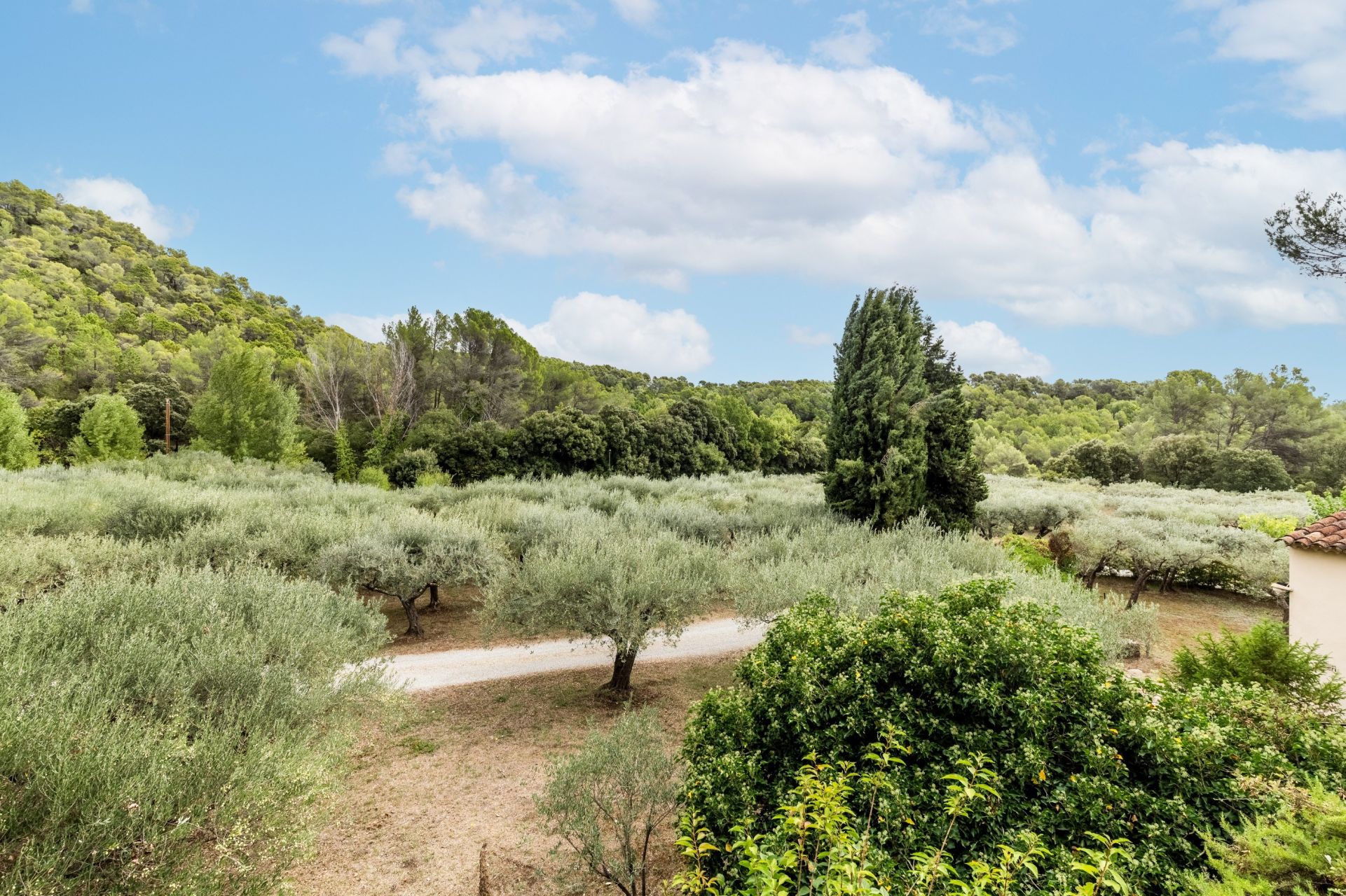 propriété de luxe 10 Pièces en vente sur SALERNES (83690)