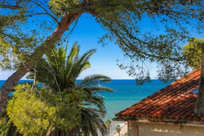 Vente Maison de luxe Six-Fours-les-Plages 6 Pièces 195 m²