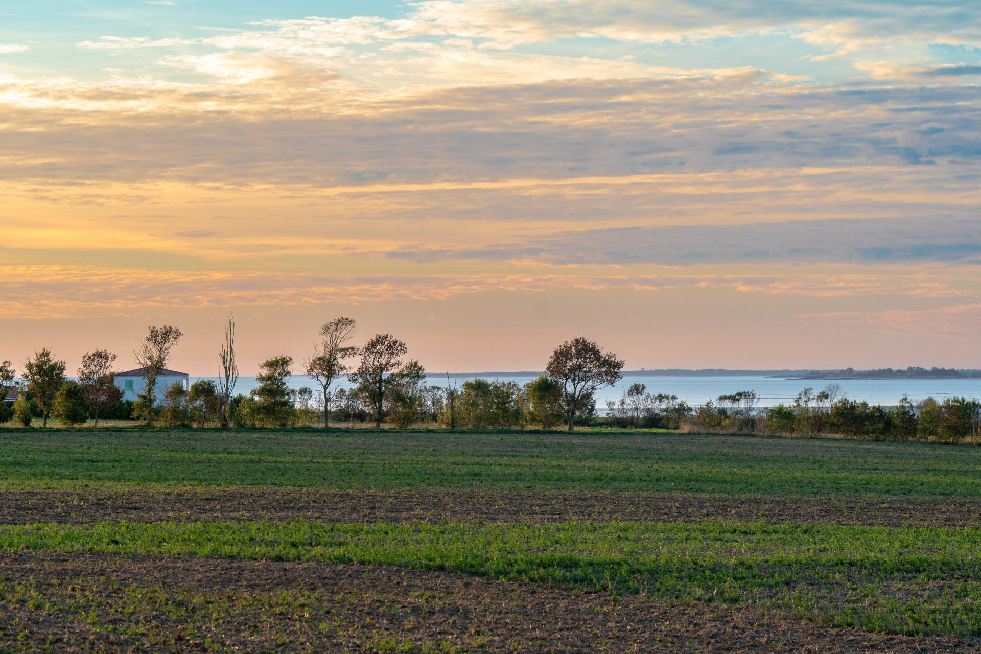 maison de luxe 7 Pièces en vente sur MARSILLY (17137)