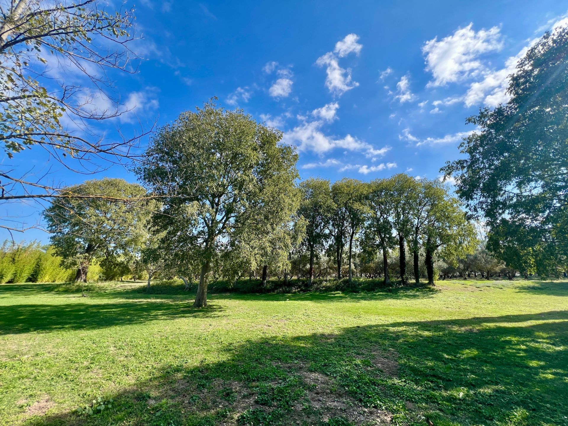 maison de luxe 5 Pièces en vente sur ST REMY DE PROVENCE (13210)