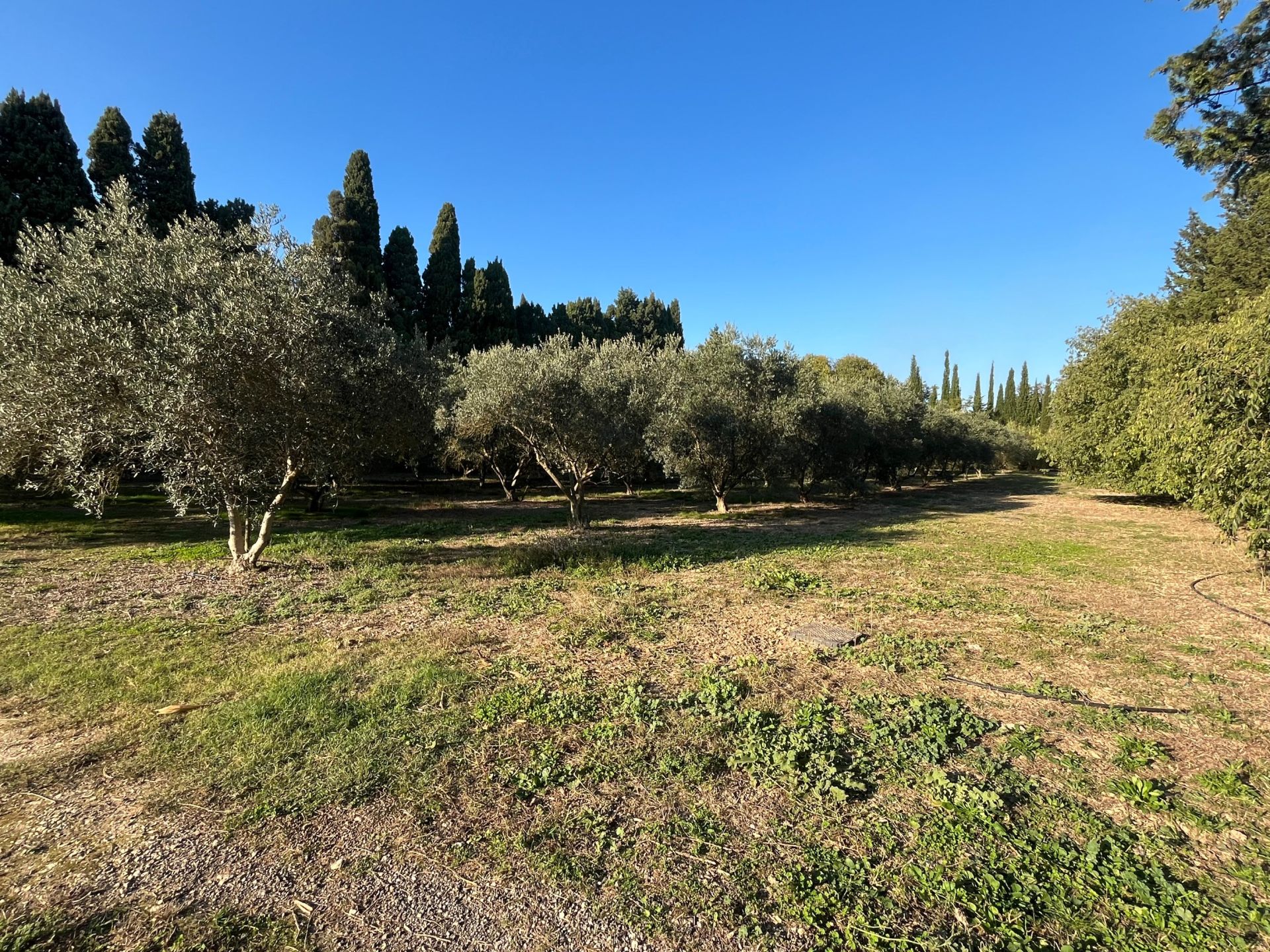 luxury house 5 Rooms for sale on ST REMY DE PROVENCE (13210)