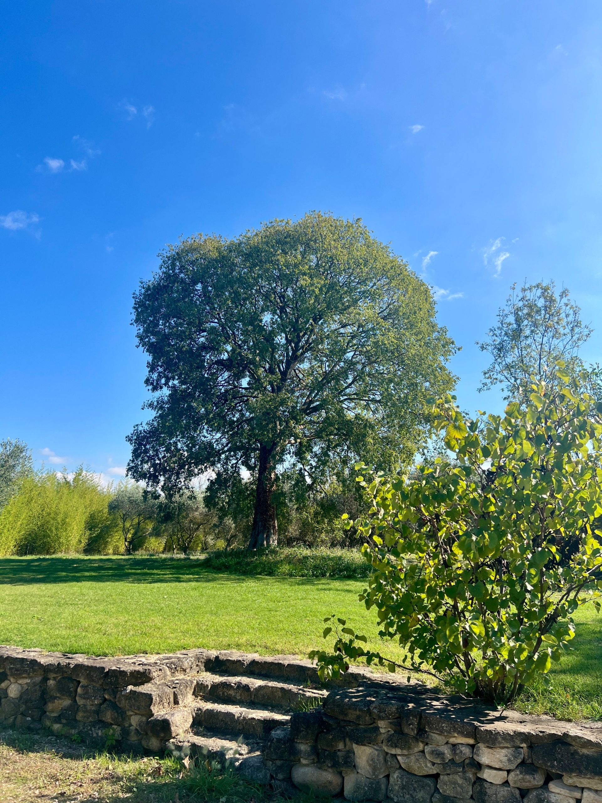 luxury house 5 Rooms for sale on ST REMY DE PROVENCE (13210)