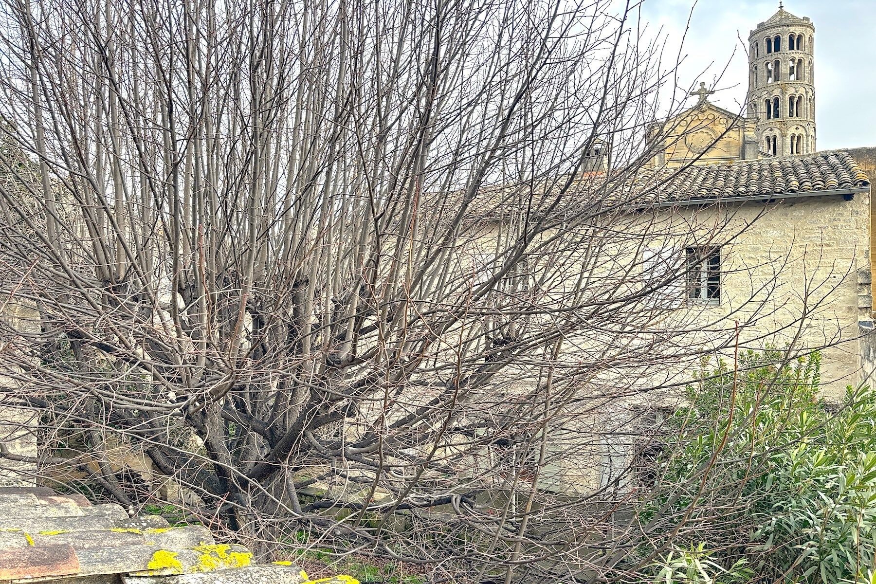 hôtel particulier 11 Pièces en vente sur UZES (30700)