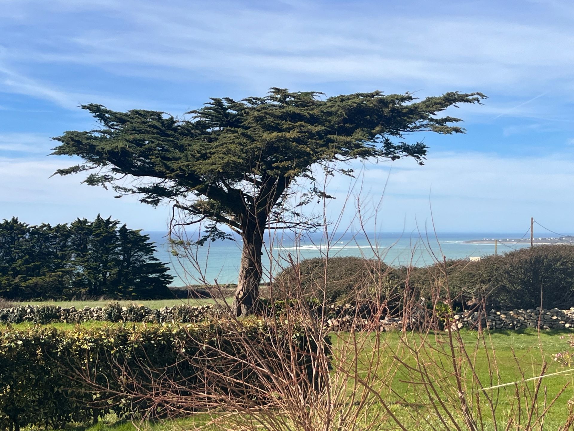 maison de luxe 7 Pièces en vente sur PLOUHINEC (29780)