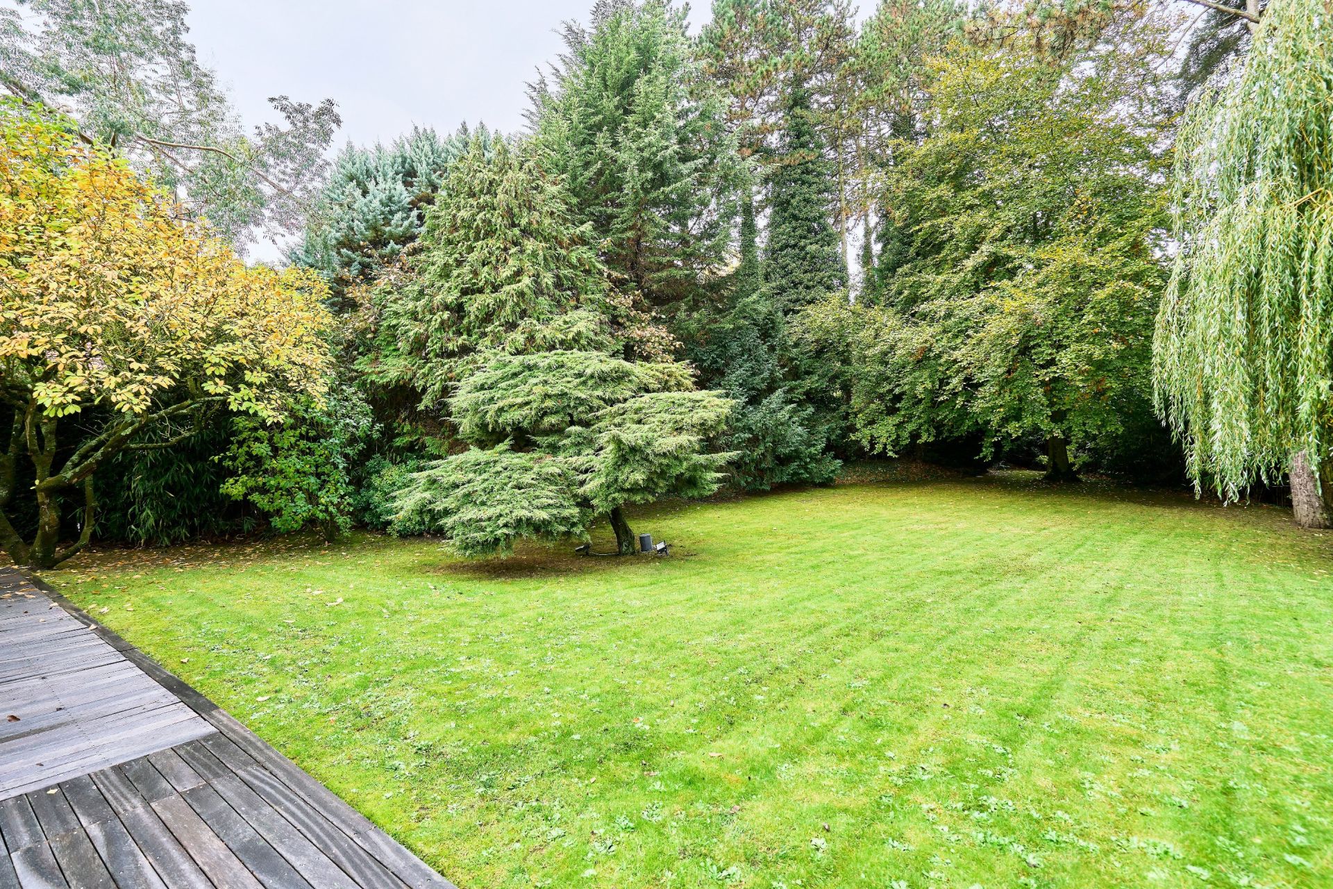 maison de luxe 5 Pièces en vente sur LAMBERSART (59130)