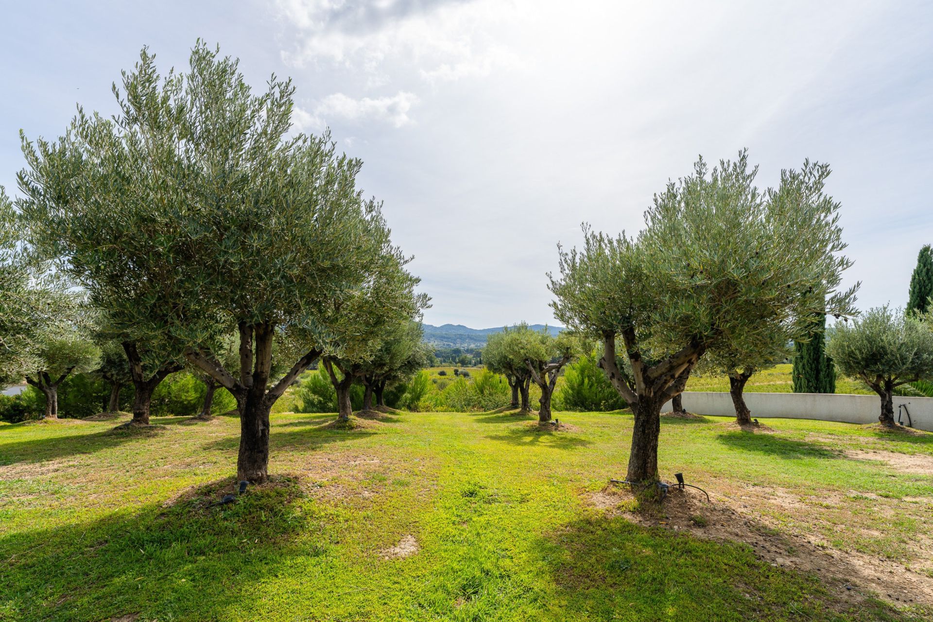 luxury house 13 Rooms for sale on LA CADIERE D AZUR (83740)