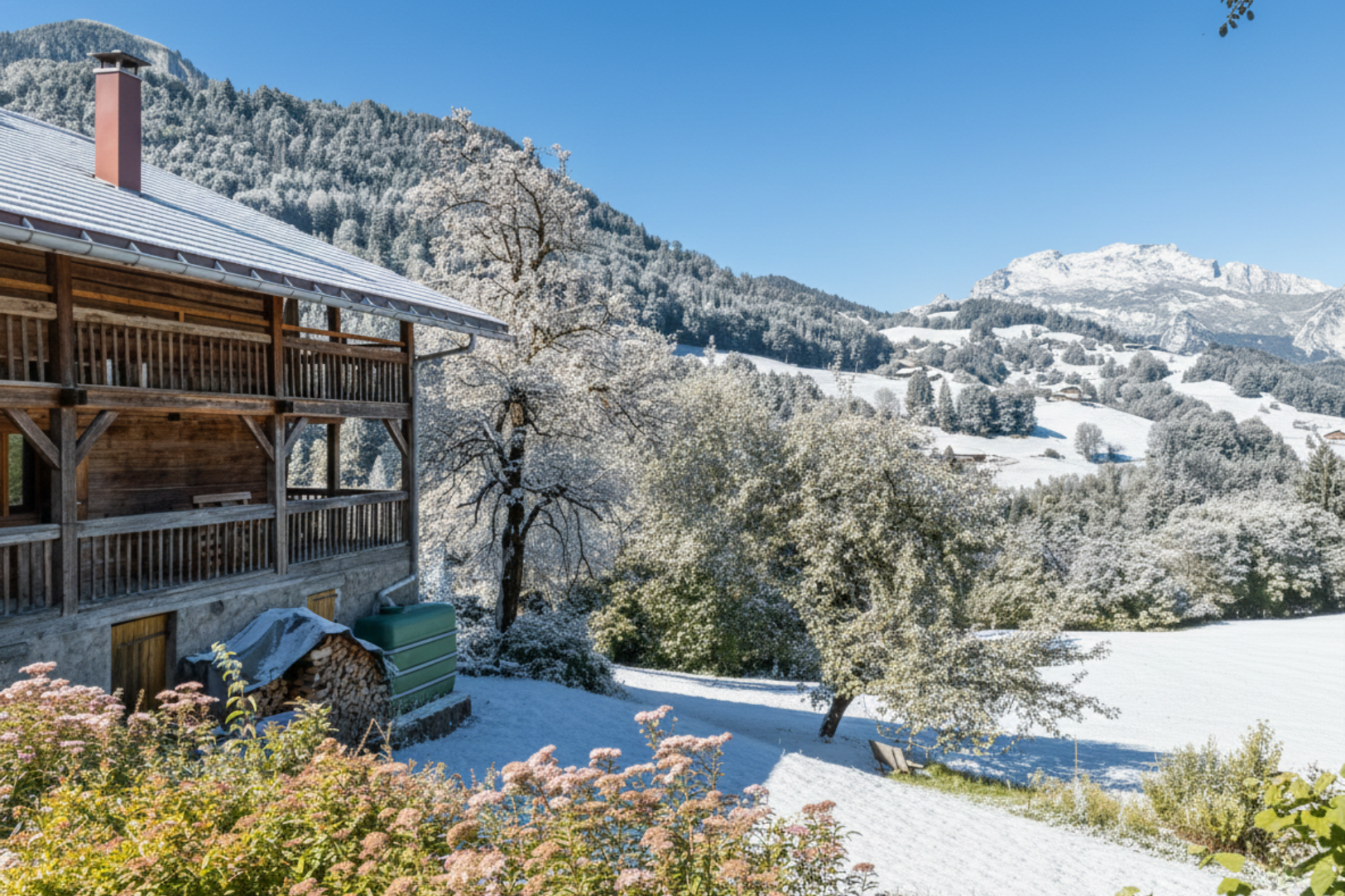 luxury house 15 Rooms for sale on MANIGOD (74230)