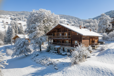 Sale Luxury house Manigod 15 Rooms 460 m²