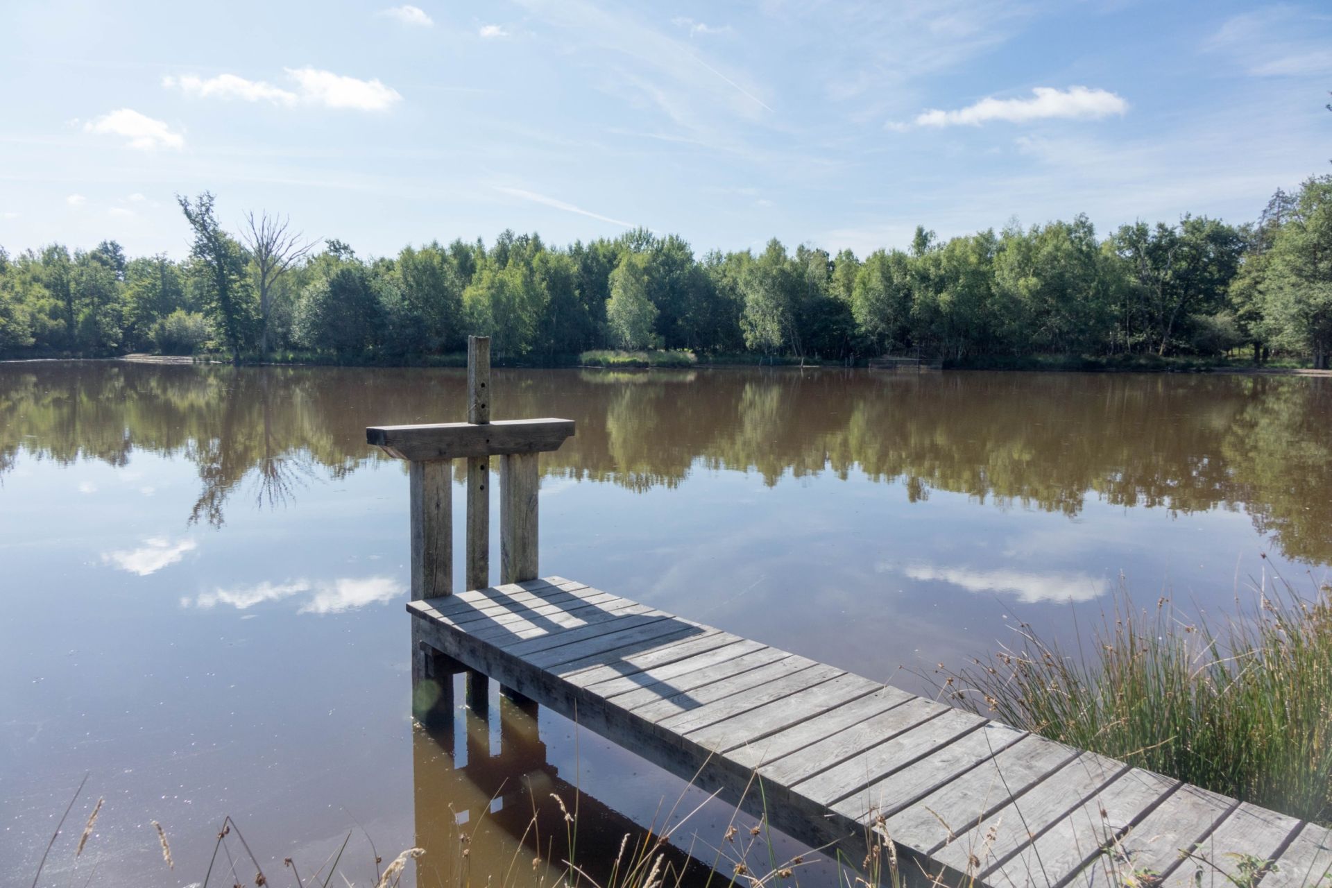 propriété de chasse de luxe 13 Pièces en vente sur LAMOTTE BEUVRON (41600)