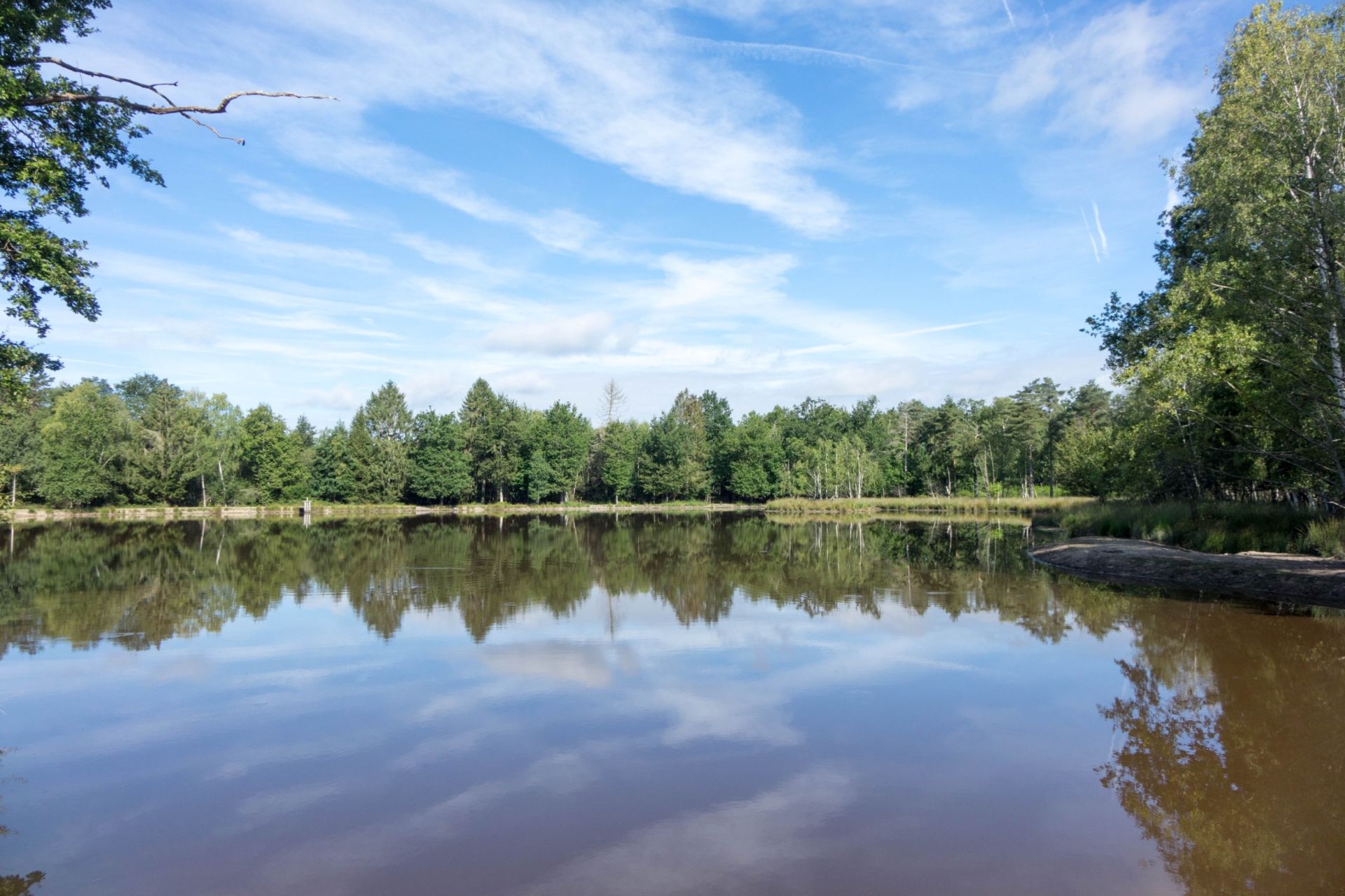 propriété de chasse de luxe 13 Pièces en vente sur LAMOTTE BEUVRON (41600)