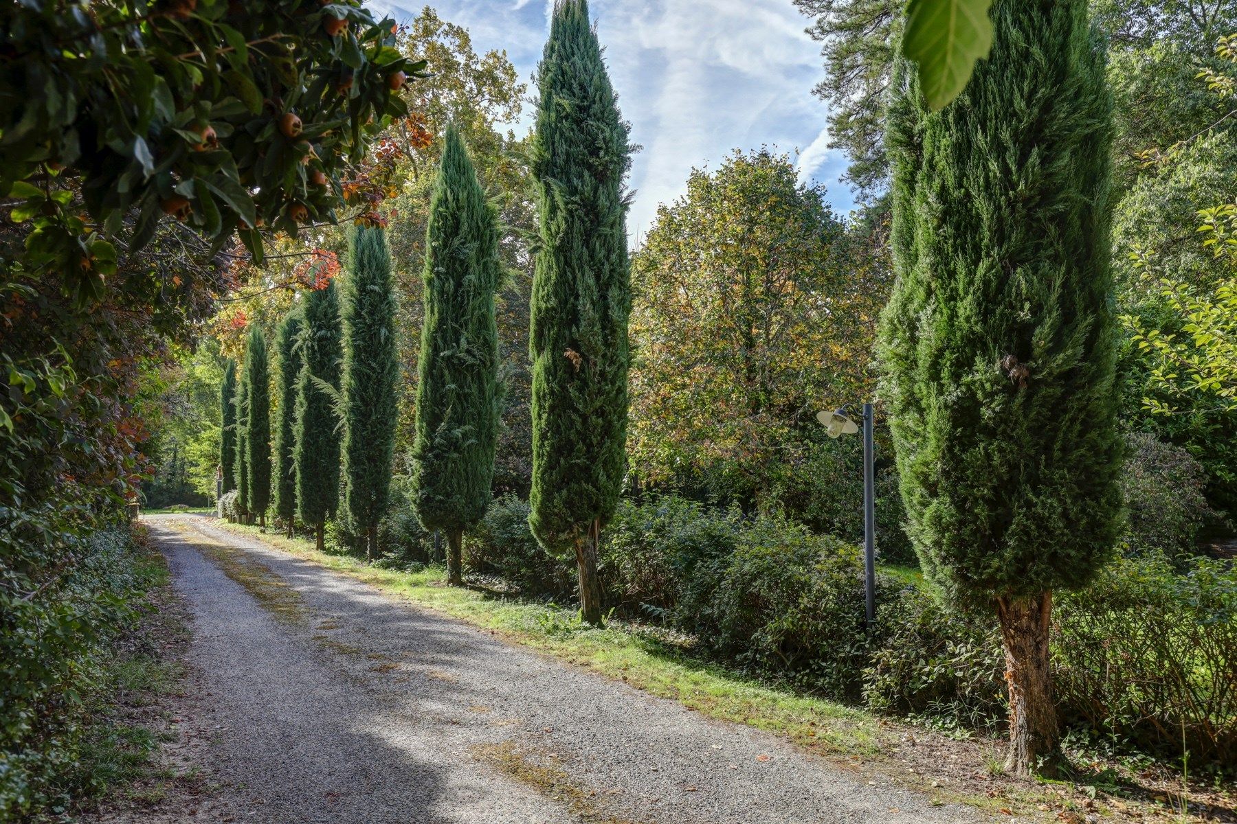 luxury house 12 Rooms for sale on LAYRAC SUR TARN (31340)