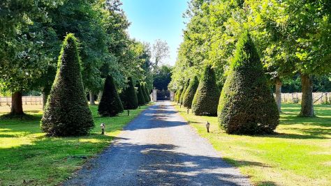 Vente Maison de maître Deauville 16&nbsp;Pièces 512&nbsp;m²