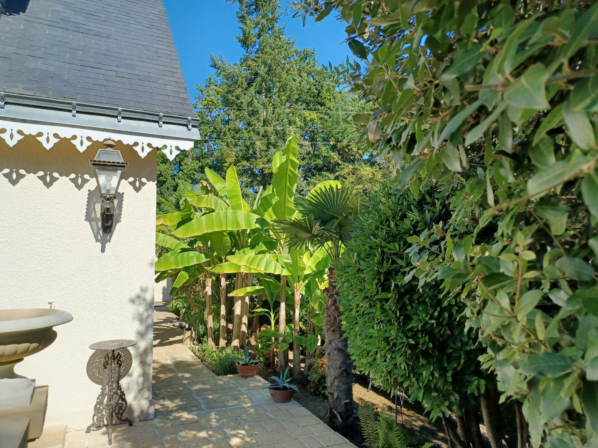 luxury house 7 Rooms for sale on ST ROCH (37390)