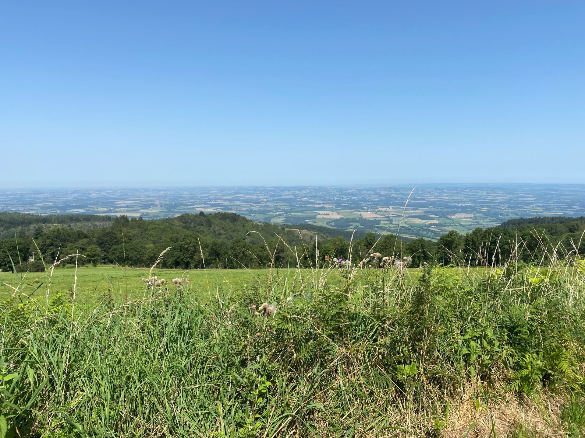 maison de luxe 8 Pièces en vente sur DOURGNE (81110)