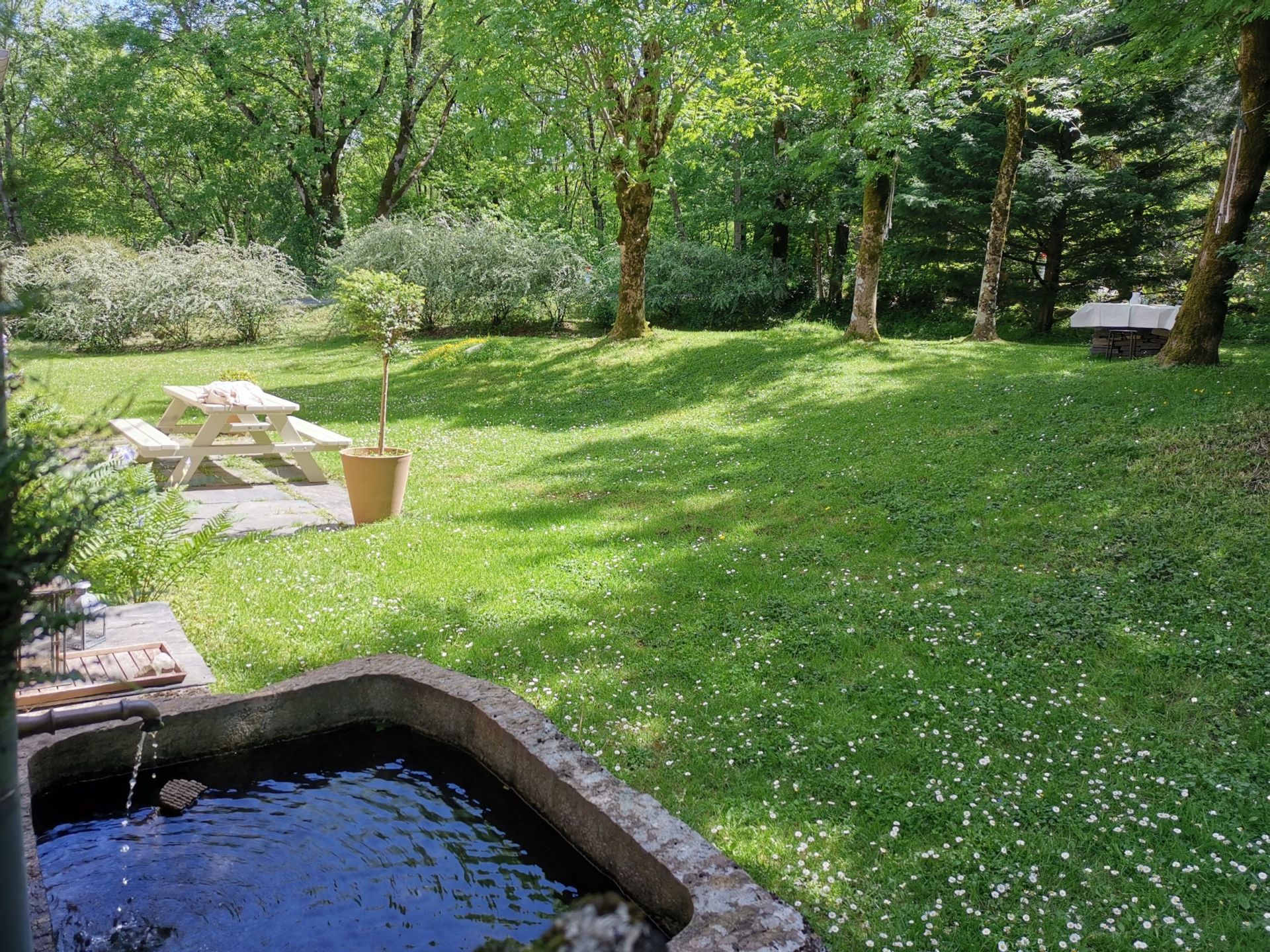 maison de luxe 8 Pièces en vente sur DOURGNE (81110)