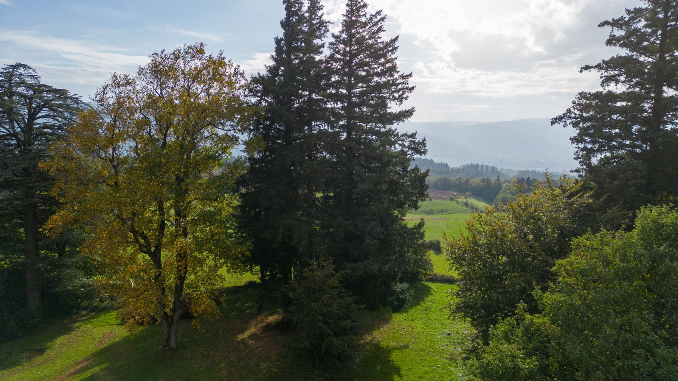 maison de maître 20 Pièces en vente sur MAZAMET (81200)