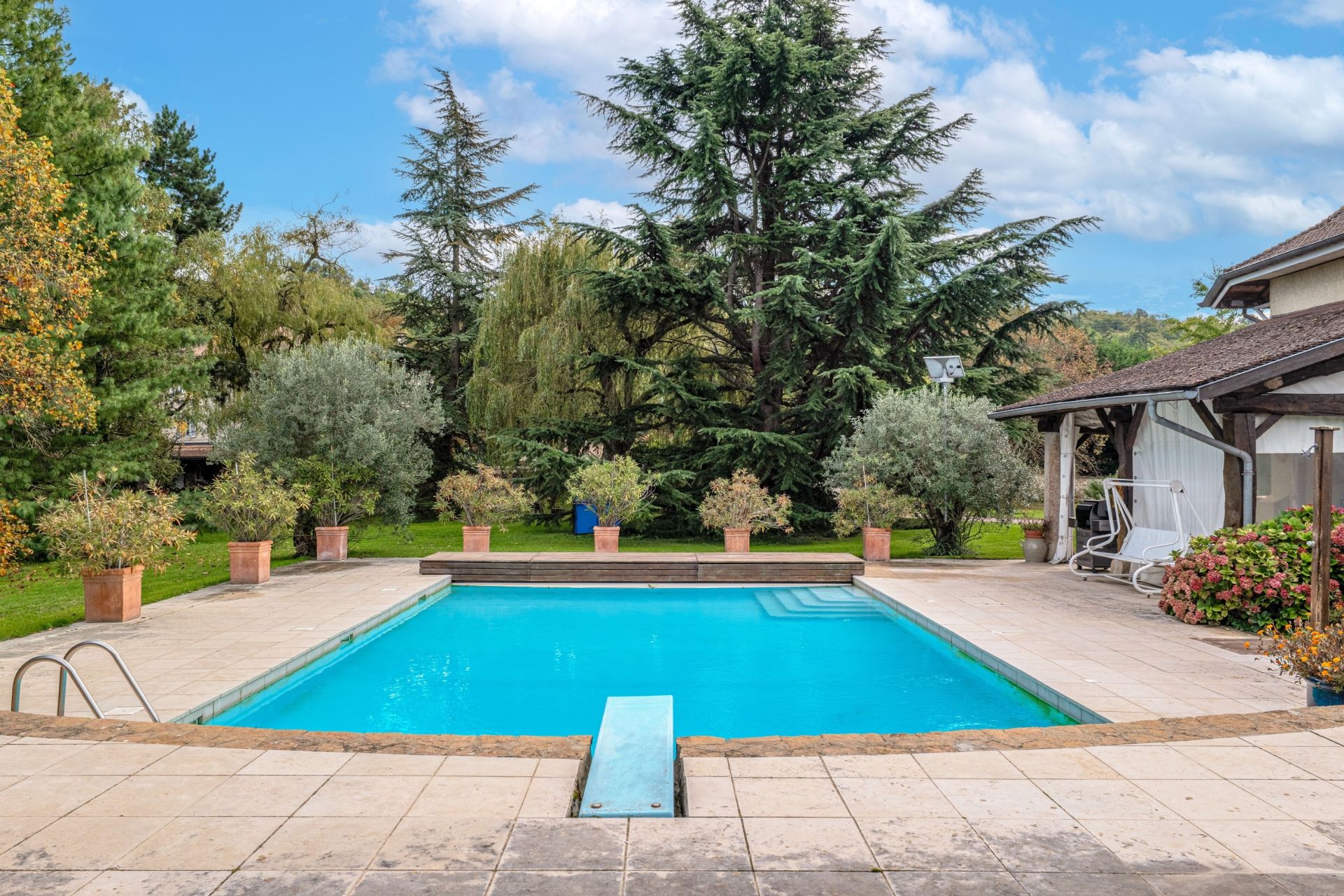 luxury property 14 Rooms for sale on CULIN (38300)