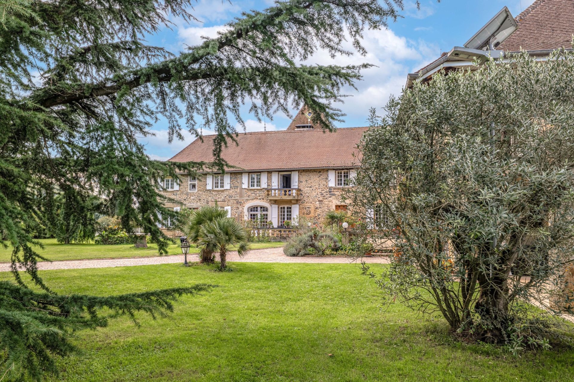luxury property 14 Rooms for sale on CULIN (38300)