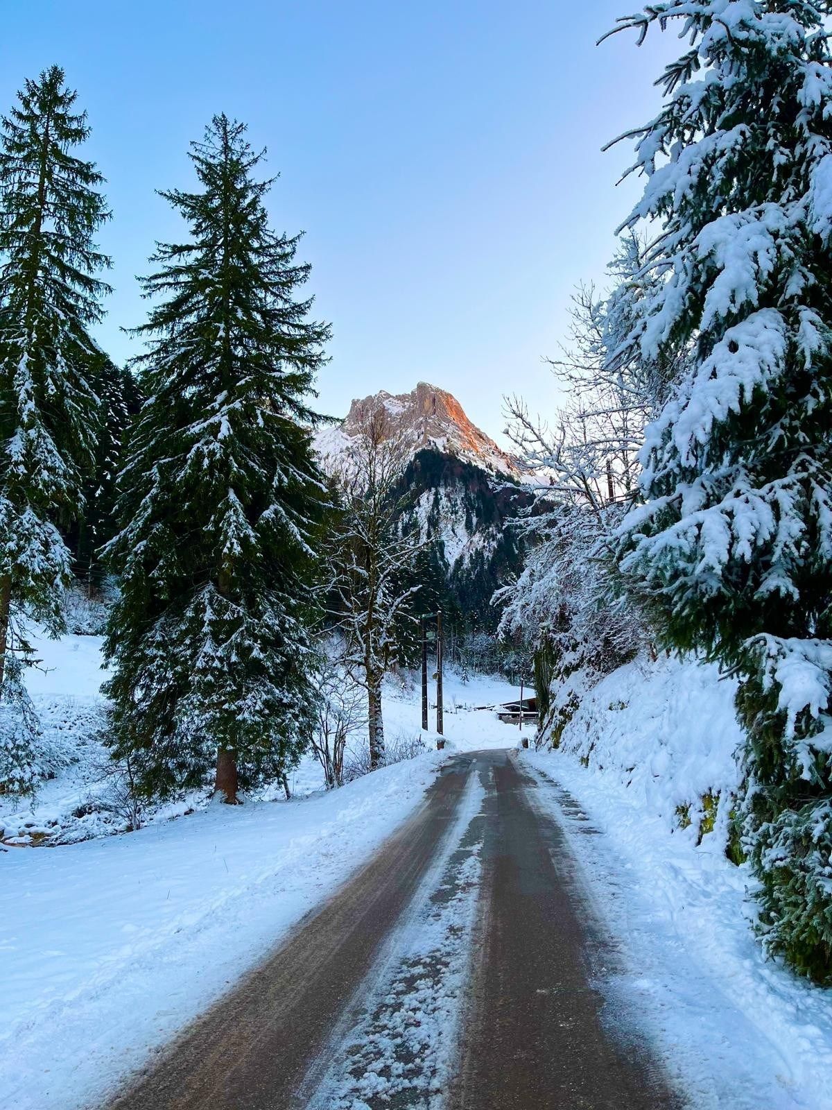 maison de luxe 3 Pièces en vente sur THONES (74230)